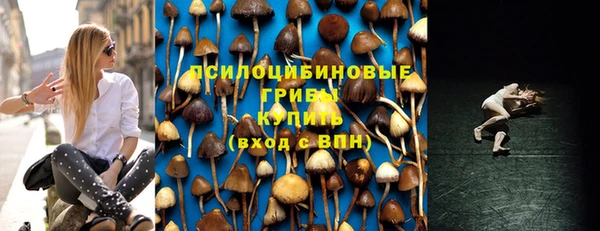 МДПВ Алексин